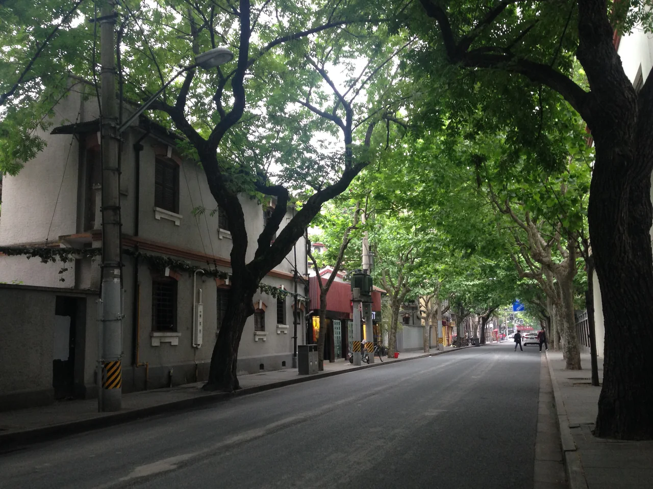 Tree-lined Wukang Road and its historic architecture